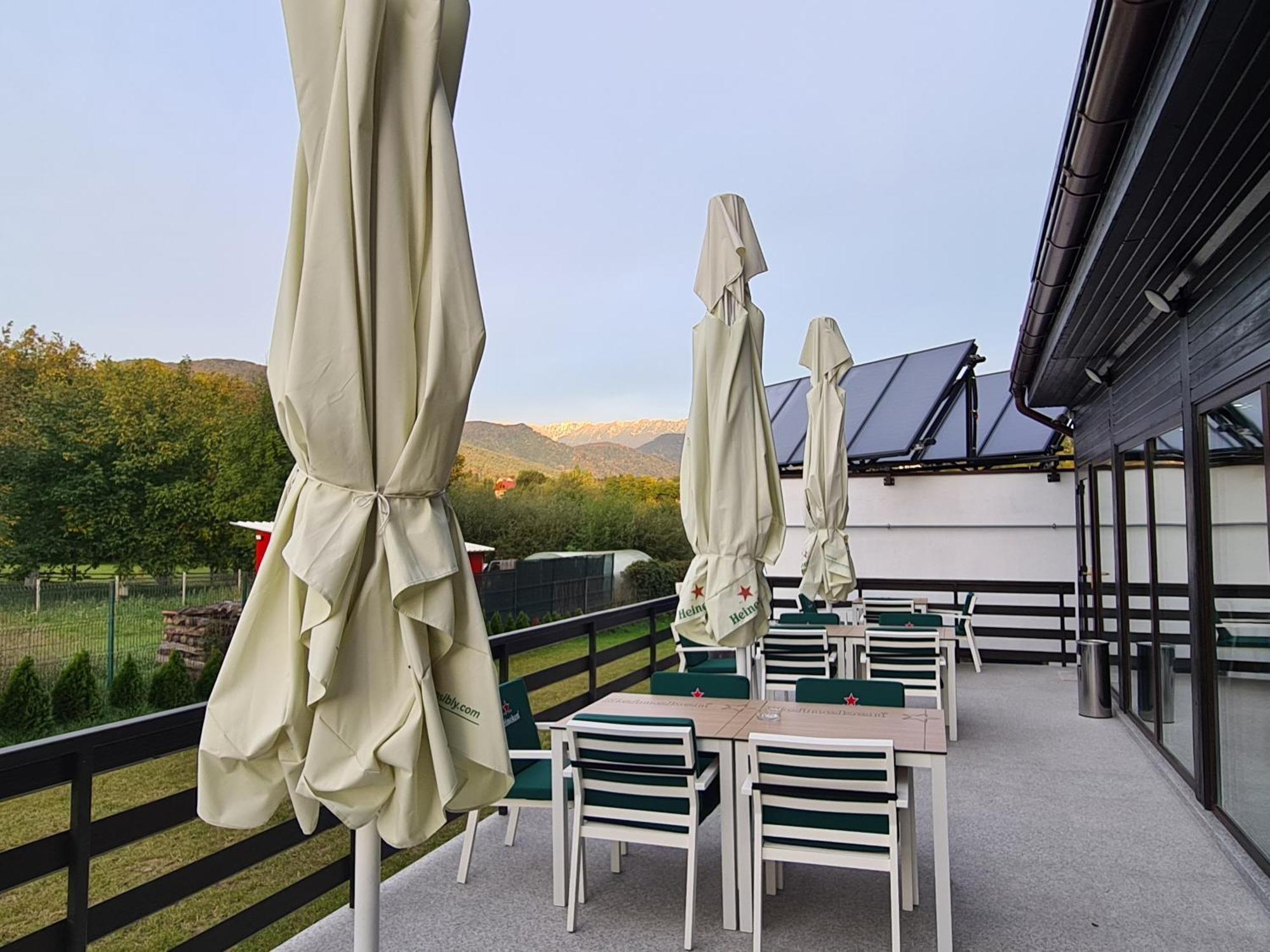 New Wolf Hotel Bran  Exterior photo